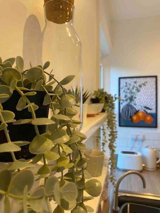 Garden Apartment, Central Harrogate With Parking Buitenkant foto